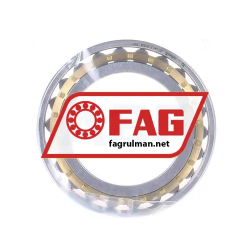 FAG N1010-K-M1-SP