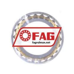 FAG N1010-K-M1-SP