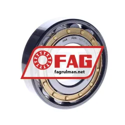 FAG N311-E-XL-M1-P6-C3