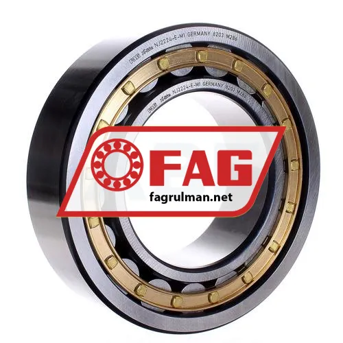 FAG NJ2224-E-M1
