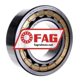 FAG NJ2224-E-M1