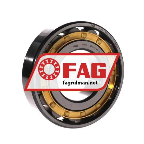 FAG N314-E-M1-C3