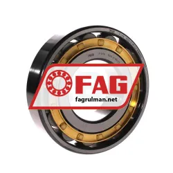 FAG N314-E-M1-C3