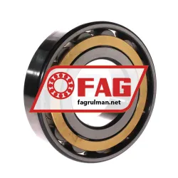 FAG N314-E-M1-C3 rulman resim 2