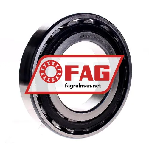 FAG N222-E-TVP2-C3