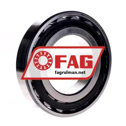 FAG N222-E-TVP2-C3