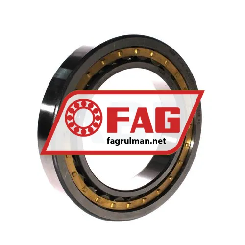 FAG NU1022-M1