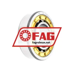 FAG NU308E-M1A