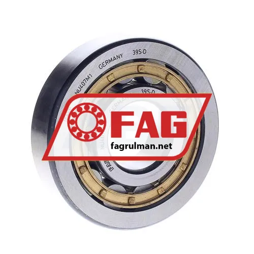 FAG NU407M1-C3