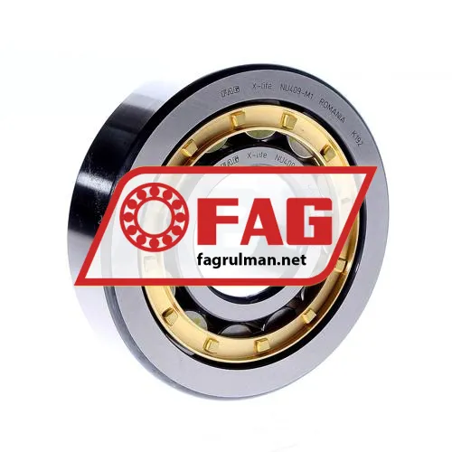 FAG NU409-M1