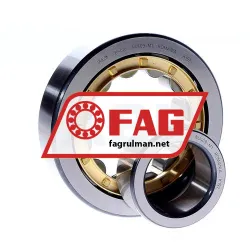 FAG NU409-M1 rulman resim 2