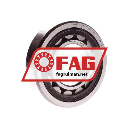 FAG NJ313-E-TVP2-C4