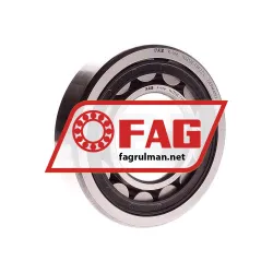FAG NJ313-E-TVP2-C4