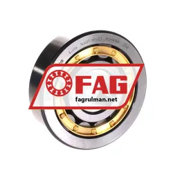 FAG NJ407-M1-C3