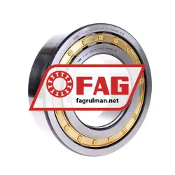 FAG NUP2222-E-M1-C3