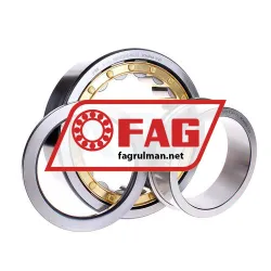 FAG NUP2222-E-M1-C3 rulman resim 2