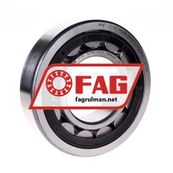FAG NU315-E-TVP2-C3