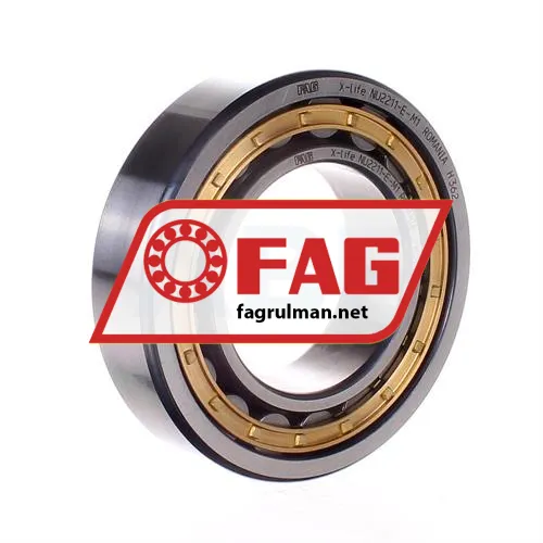 FAG NU2211-E-M1