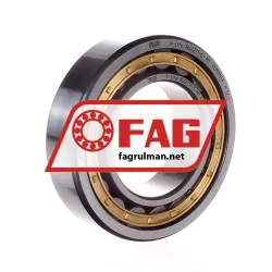 FAG NU2211-E-M1