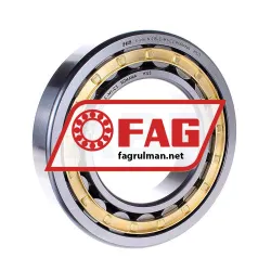 FAG NJ218-E-M1-C3