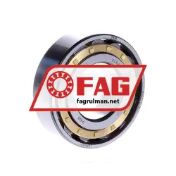 FAG N205-E-M1