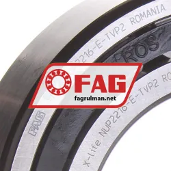 FAG NUP2216-E-TVP2 rulman resim 2