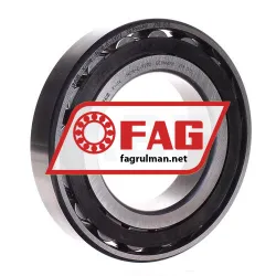 FAG N218-E-TVP2