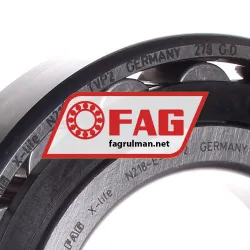 FAG N218-E-TVP2 rulman resim 2