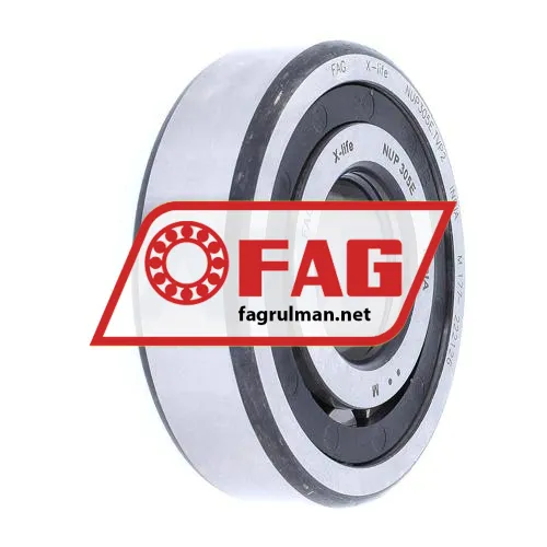 FAG NUP305E-TVP2