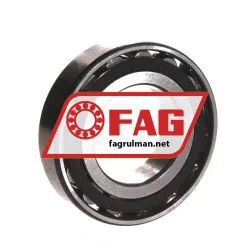 FAG N209E-TVP2
