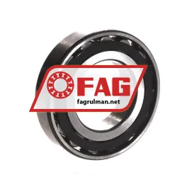FAG N209E-TVP2 rulman resim 2