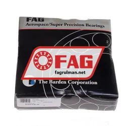 FAG N1018K-M1-SP