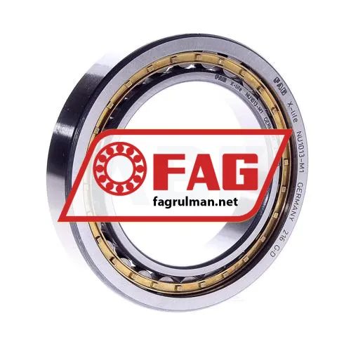 FAG NU1013M1