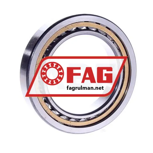 FAG NU1013M1 ürün fotoğrafı 3