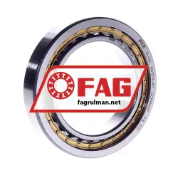 FAG NU1013M1