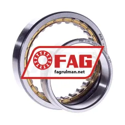 FAG NU1013M1 rulman resim 2