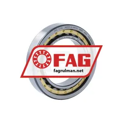 FAG NU1010-XL-M1-C4