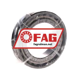 FAG N1011-K-PVPA1-SP
