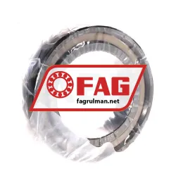 FAG N1011-K-PVPA1-SP rulman resim 2