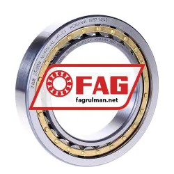 FAG NU1014-XL-M1-C4