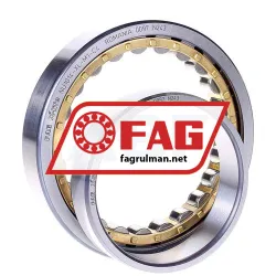 FAG NU1014-XL-M1-C4 rulman resim 2