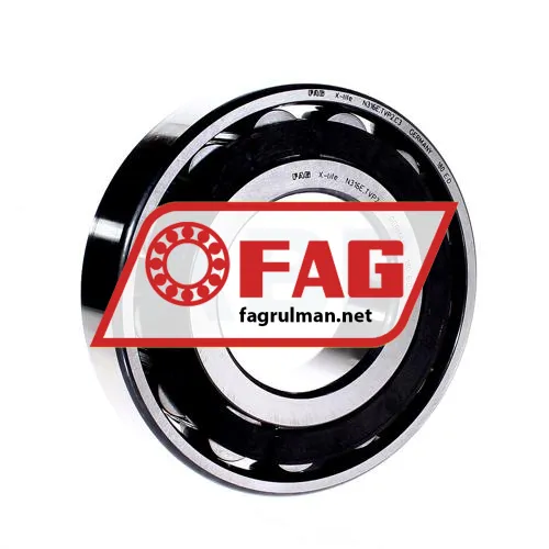 FAG N316-E-TVP2-C3