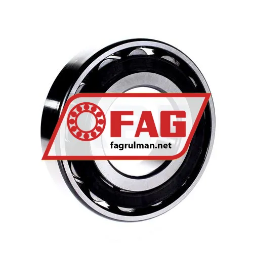 FAG N316-E-TVP2-C3 ürün fotoğrafı 2