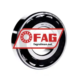 FAG N316-E-TVP2-C3