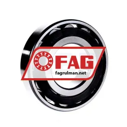 FAG N316-E-TVP2-C3 rulman resim 2