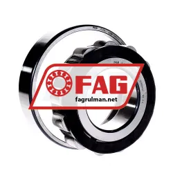 FAG N316-E-TVP2-C3 rulman resim 3
