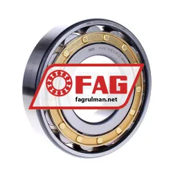 FAG N315-E-M1-C3