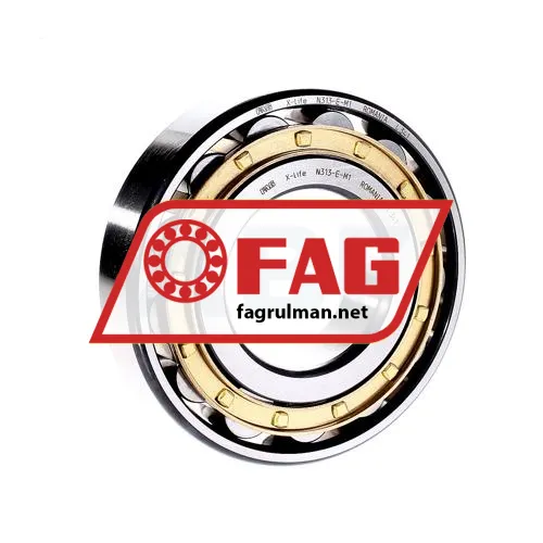 FAG N313-E-M1