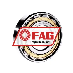 FAG N313-E-M1
