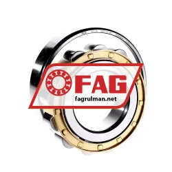FAG N313-E-M1 rulman resim 2